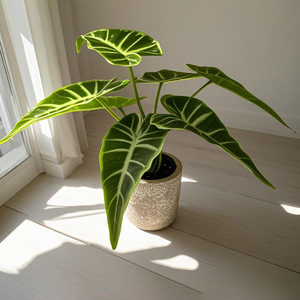 Planta artificial de Monstera Dream Castle en maceta de cemento para decoración del hogar, bonsái de escritorio, vegetación. - Product Image 2