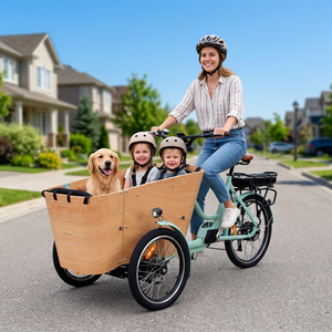 Vélo de livraison du dernier kilomètre CE 250W 500W à 3 roues, vélo électrique urbain avec <span class=keywords><strong>porte</strong></span> latérale/avant, 6 vitesses, OEM - Product Image 2