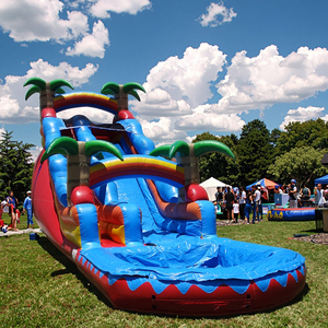 Grande glissière d'eau <span class=keywords><strong>gonflable</strong></span> verte avec la glissière d'eau commerciale de <span class=keywords><strong>piscine</strong></span> pour des adultes et des enfants - Product Image 6