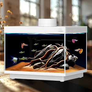 リラクゼーションラインDC5v/2Aデスクトップガラス水族館スクエア水槽4w RGB LEDライトと酸素ポンプ付き - Product Image 1