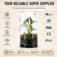 Terrarium cylindrique en acrylique transparent personnalisé, mini serre d'intérieur, dôme d'humidité, plantes tropicales, mousse, succulentes, présentoir
