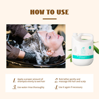 AP Best-Vente Marque Blanche Sans Sulfate Sans Parabène Huile d'Argan Hydratante et Nourrissante Shampoing Professionnel en Vrac Gallon