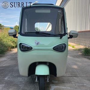 Tricycle électrique SURRIT à cabine fermée, 2 places, 48V 501-800W, trike pour adultes, vert menthe avec décorations de dessins animés - Product Image 2