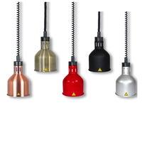 Réchauffeurs de nourriture indiens en acier inoxydable, lampe chauffante infrarouge, dernier modèle 2021, réchauffeur de nourriture pour buffet