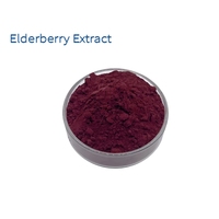 Ekstrak Bubuk Buah Elderberry Sambucus Nigra Rasio 10:1 TLC untuk Minuman Kesehatan Fungsional