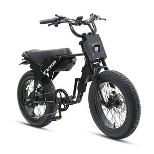 Oferta Especial: Bicicleta Eléctrica Mini Estilo Dirt con Horquilla de Suspensión, Batería de Litio de 48V 15AH, Retro, 20'', para Todoterreno, con Cuadro de Acero y Asiento Trasero - Product Image 2