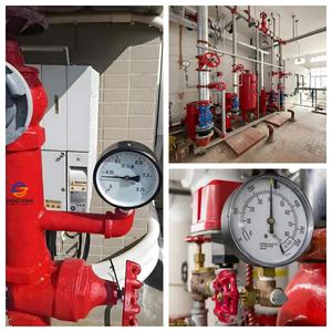 Entrega Rápida Alta Qualidade Rápida e Precisa <span class=keywords><strong>Pressure</strong></span> Gauge Pure Copper Construção com Alta Acabamento Movimento Medição - Product Image 5