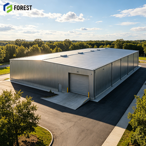 Atelier de fabrication de structures en acier, ignifuge, pour usage industriel, avec mur large, vente en gros, pour l'entretien de plantes durables, doté d'une grue supérieure - Product Image 1