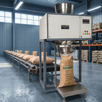 Machine d'emballage de sacs plastiques robustes 380V, équipement de remplissage automatique de poudre et granulés, capacité 1 tonne, emballage industriel 250kg