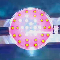 Projecteur LED RGBW automatique 100 mm pour extérieur, indice de protection IP65, pour carnaval, fête foraine, manèges de parc d'attractions, éclairage de spectacle, lampe PC