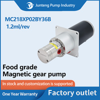 Pompe à engrenages à entraînement magnétique Easy Clean avec acier magnétique gainé de PPS pour les constructeurs de systèmes d'alimentation en ingrédients de machines à crème glacée