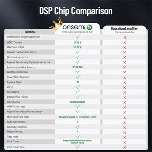 קול ברור 16 ערוץ נטענת bte מקצועי דיגיטלי לתכנות יחיד לחמור, חמור מאוד - Product Image 4