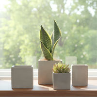 Gros carré simple conception de bureau ciment succullent pot avec trou pour la décoration intérieure