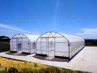 Serre tunnel agricole simple travée en film PE pour petites exploitations commerciales en zone tropicale