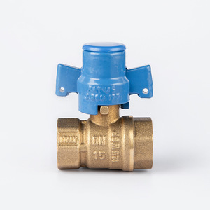 DN15 DN20 황동 물 유량계 밸브 - Product Image 2