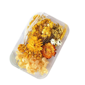 Conjunto de Plantas y Flores Secas Naturales para Velas de Aromaterapia, Manualidades con Resina y Fabricación de Joyería DIY - Product Image 6