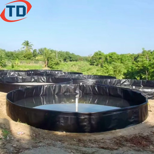 Màng đất đổ bassin hồ lót 0.75mm 1mm 1.5mm 2mm HDPE <span class=keywords><strong>LDPE</strong></span> geomembrana cho các trang trại cá đập lót ao lót 45mil - Product Image 4