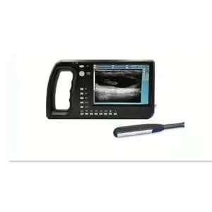 Groot Scherm High Definition Vee Bull Paard Medische Handheld Veterinaire Draagbare Ultrasound Scanner Zwangerschap Test Kit