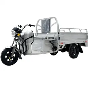 High Quality 1000W Custom Logo Electro-Tricycle For Courier Delivery Cargo Electric Tricycles