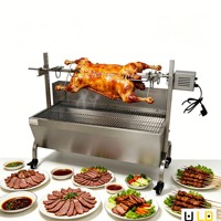Grill de barbecue électrique automatique rotatif à plaques amovibles, machine à shawarma commerciale, barbecue extérieur au charbon de bois US