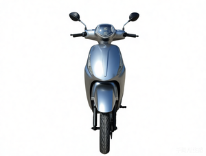 Nouveaux Véhicules Énergétiques : Moto Électrique Egos Scooter Roma, Scooter Électrique Ego Shk Valot - Product Image 5