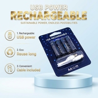 Piles rechargeables AA au nickel-zinc 1,6 V avec câble USB-C 1,8 Wh