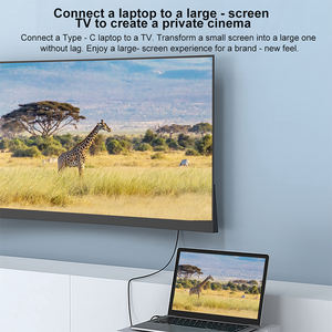 <span class=keywords><strong>Cable</strong></span> Adaptador de Conversión USB-C a HDMI 8K A151-1, <span class=keywords><strong>Cable</strong></span> Electrónico con Ancho de Banda de 32.4Gbps, Malla Trenzada, Tipo C a HDMI, Macho a Macho - Product Image 3