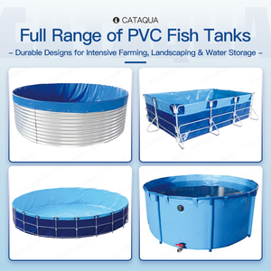 Vasca per Pesci Pieghevole in PVC, Resistente agli Strappi, Facile da Montare, Altre Attrezzature per Acquacoltura per Allevamenti Ittici Interni ed Esterni - Product Image 2