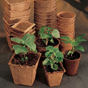 Maceta Biodegradable de Fibra de Coco Orgánica EXPAD para Germinación de Semillas y Desarrollo de Raíces, Sistemas de Jardinería Ecológica, Origen Ben Tre - Product Image 1