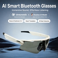 Gafas Inteligentes con IA, Gafas Inteligentes con Traducción por IA y Gafas Inteligentes con Bluetooth y Audio, 156 Idiomas