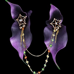 Coffret de pinces à tétons pour cadeau de Noël avec motifs cerise, œil, tournesol et étoile |   Clips de bijoux BDSM réglables pour couples - Product Image 4