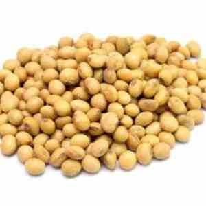 Bán buôn cấp thực phẩm chiết xuất đậu nành bột 40% đậu nành Isoflavone với thùng nhựa và bao bì trống - Product Image 2