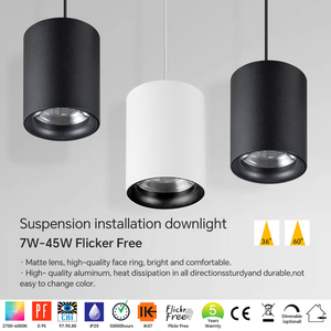 15 wát LED Downlight mặt dây chuyền trần ánh sáng xi lanh bề mặt được gắn treo nhôm bao gồm cài đặt dự án Downlight - Product Image 2