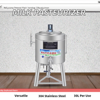 Machine de pasteurisation de lait de chamelle miel yaourt ketchup 30L 50L 75L 100L acier inoxydable pour le traitement de jus de fruits purée