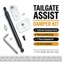 Amortisseurs à ressort à gaz DZ43204 personnalisés pour levage et abaissement facile, pour applications de levage de hayons de pick-up automobiles