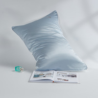 Taie d'oreiller et housse de coussin en soie de mûrier 100% satinée, qualité supérieure 6A, luxe, anti-bactérienne, pour la maison, hôtels modernes, vente en gros, directement de l'usine
