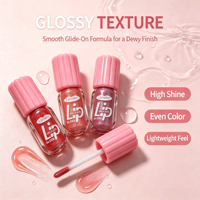 LSFAIRY LG193 Gloss à lèvres hydratant végétalien transparent longue tenue, personnalisable, étanche, avec emballage marque privée, tubes en gros