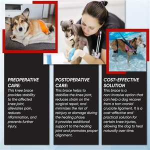 Con chó phục hồi phù hợp với mài mòn kháng Pet vết thương ngăn chặn liếm cắn giữ khô hông và đùi vết thương bảo vệ chó phục hồi tay áo - Product Image 5