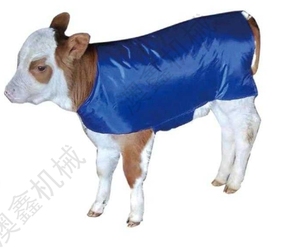 Coperta per Vitelli Impermeabile e Antivento, Abbigliamento Caldo e Spesso per Allevamento di Bovini 0-3 Mesi - Product Image 5