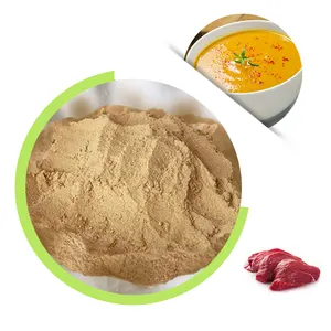 China Factory Supply Beef Seasoning Powder Wholesale Price Flavoring Agents in Bulk for functional food