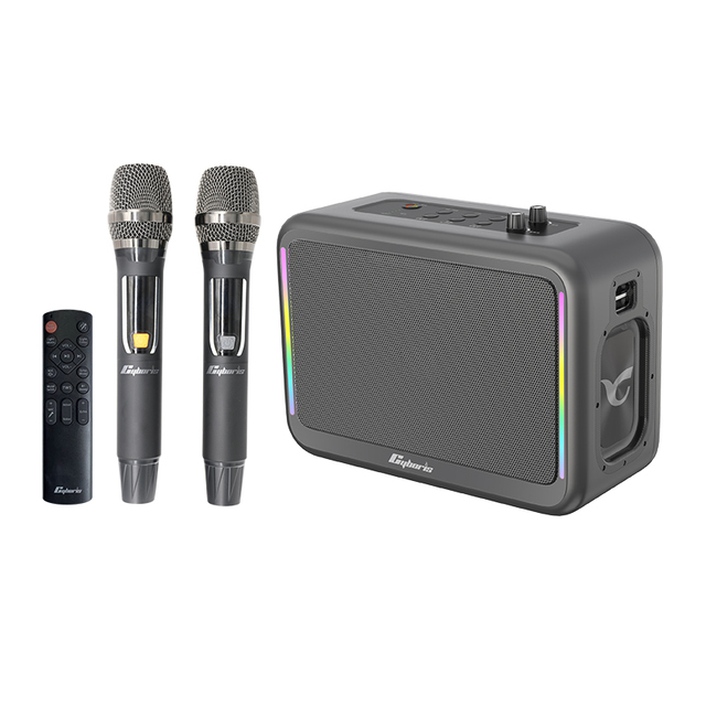 X14 200W Triple Frequency Karaoke Machine with Two Wireless Microphones, Stereo Bass Boombox,Karaoke Speaker for Adults & Kids