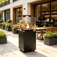 Max. Cheminée à gaz extérieure en verre trempé de 8 kW, véritable flamme, chauffage de terrasse au GPL avec pierres de lave et bûches pour usage en jardin