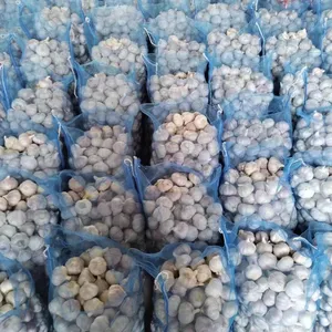 Optimum farmer fresh garlic import Chinese ajo/ail/alho selling price of wholesale garlic for sale