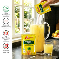 Ananas Instant Poederdrank 10g Halal Gecertificeerd Fruitdrankmix Fabrikant Groothandel
