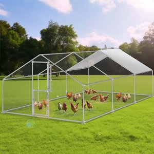 Diretto dal fornitore su misura Walk-<span class=keywords><strong>In</strong></span> ha galvanizzato il pollaio mobile del metallo del <span class=keywords><strong>ferro</strong></span> della casa di gallina con i cancelli del traliccio della recinzione - Product Image 5