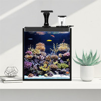 Skynuo Ultra-Klar-Glas Mini-Meerwasser-Aquarium Filtermedien Kunststoff-Fischbecken 25 Gallonen 5W Leistungsfiltration Zubehörbox