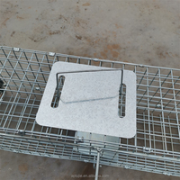 Cages pliables de piège de pigeon d'oiseau de capture pour le piège de cage d'oiseau de réutilisation