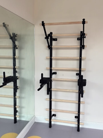 Échelles murales suédoises en gros, barres de gymnastique pour la maison, studio de Pilates, échelles d'escalade personnalisées pour la gymnastique, fournitures de fitness
