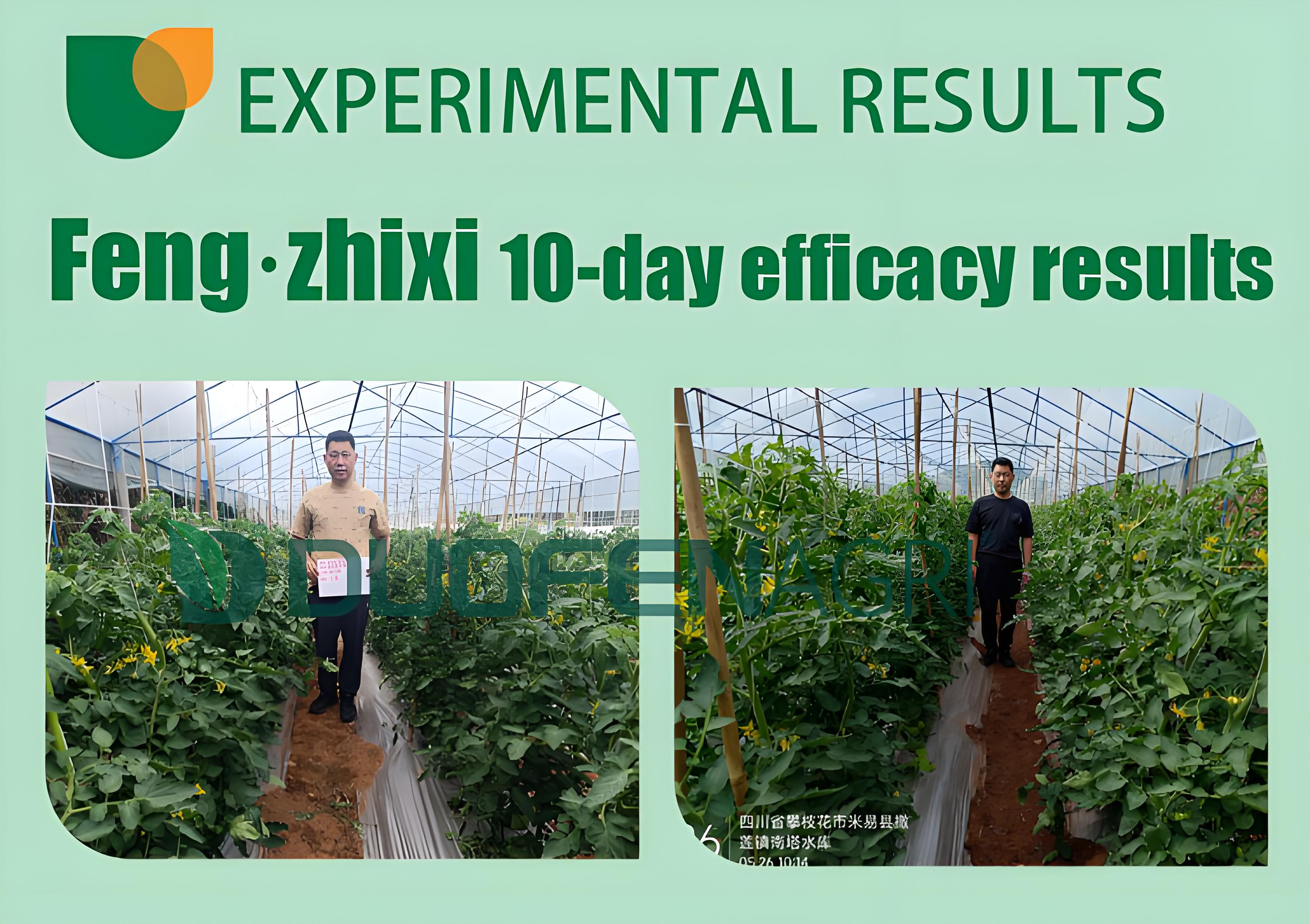 Wholesale Organic Liquid NPK 200-200-200+TE Fertilizer image 6
