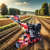 Cultivateurs agricoles 5/7/9/15hp produits agricoles outils de labourage agricole 173/178f/186f/192f désherbeur Micro motoculteur à moteur Diesel